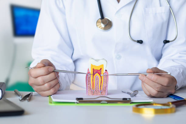Best Emergency Root Canal Treatment in Kingsley, IA
